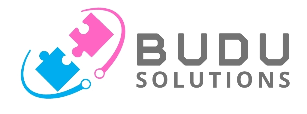 Budu Solutions Logo